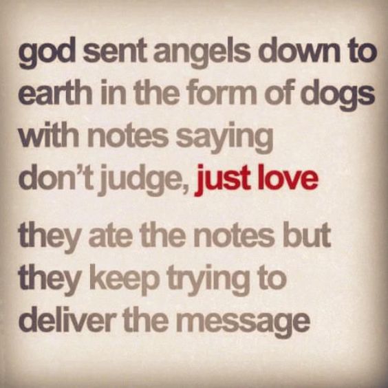 We would all do better to love as our dogs do. Pass it on. Remind someone that you love them today (not just your dog!).