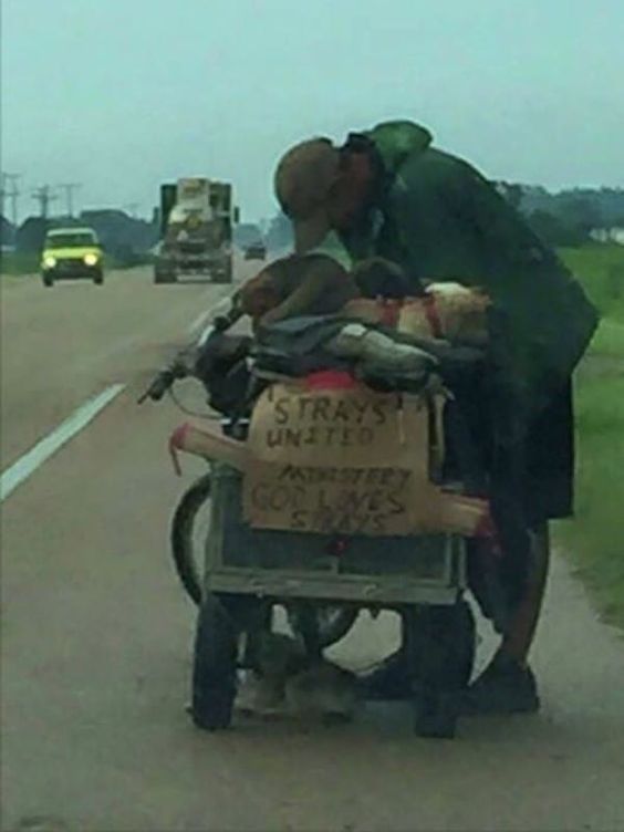 While driving home in Arkansas, Alicia saw a man pedaling his bike and carrying 10 dogs in a makeshift trailer. Neither Alicia nor the man had any idea their encounter would change their lives forever.