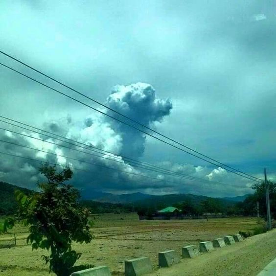 Who says there isn't doggies in heaven