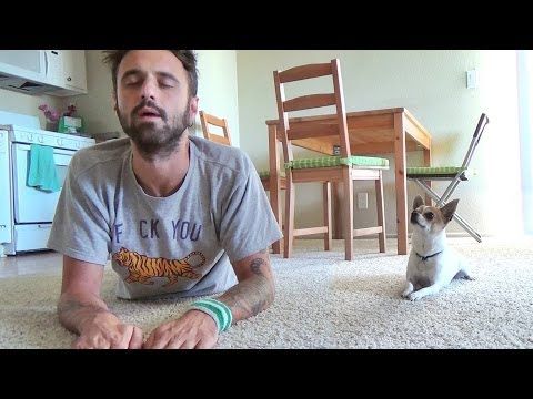 Yoga Time with a Cute Chihuahua - YouTube