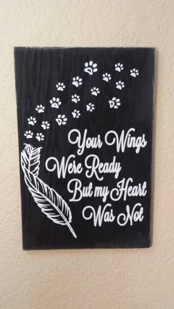 Your Wings were Ready But my Heart Was Not with Paw prints Wood sign, Pet Sign, Memorial Wood sign, Rustic Wood Sign, Dog or Cat Memorial by CreaTiveVinylDezign on Etsy