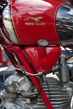 1953 Moto Guzzi Falcone Sport 500cc Print By Tim Gainey