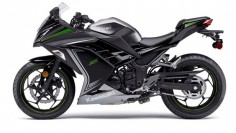 2015 NINJA® 300 SE Sport Motorcycle by Kawasaki