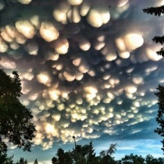 A rare cloud formation called a mammatus, where clouds take on a bubble-like shape, appeared in the skies above Regina, Saskatchewan in Canada following a thunderstorm on June 26.