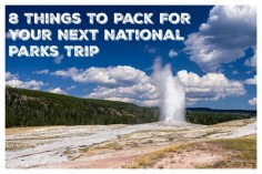 Alamo Chief Travel Mom Vera Sweeney shares eight essential items you should pack for your next National Park family adventure.