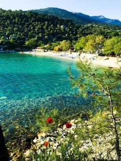 Aliki Beach, Thassos Island, northern Aegean Sea, Greece ✯ ωнιмѕу ѕαη∂у