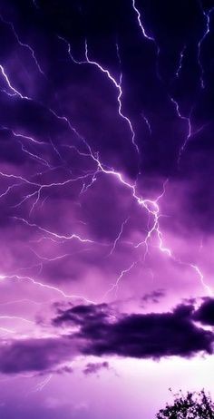 all things purple photos - Google Search