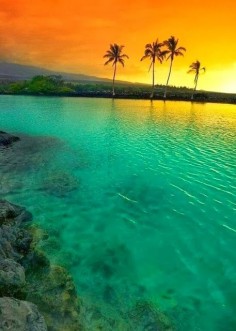 Amazing Hawaii