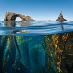 Anacapa Arch, Channel Islands National Park, California Photo by Antonio Busiello