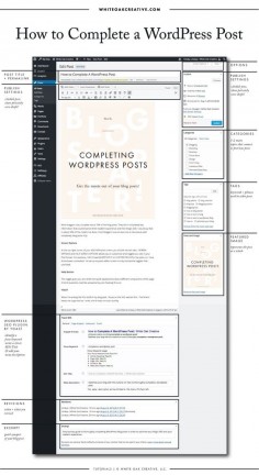 Anatomy of a WordPress Blog Post  understand what and how you should complete certain sections to get the most out of your wordpress posts  wordpress blog post guide  blog design