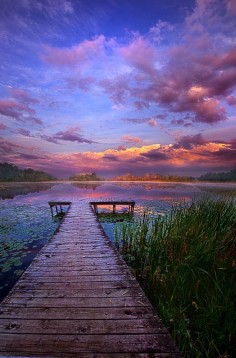 ~~And Silence, morning at the lake, a view from the pier, by Phil Koch~