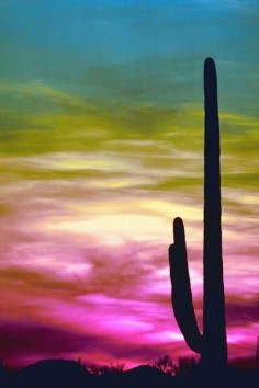Another beautiful sunset in Arizona