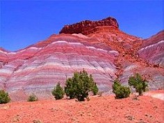 *ARIZONA ~ Painted Desert None of these photos give the desert any justice there's nothing like it in this