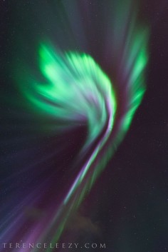 Aurora by Terence Leezy