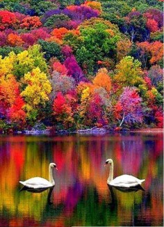 Autumn in New Hampshire, USA Colors are Wow!