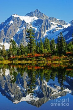Autumn Reflections on Picture Lake - Mt. Baker, Washington | Beautiful