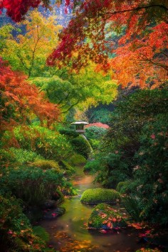 Autumn Serenity In Portland Japanese Gardens