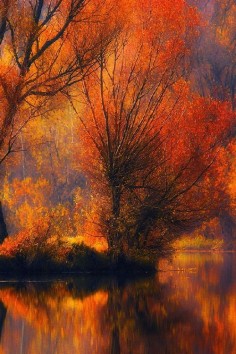 Autumn Stillness