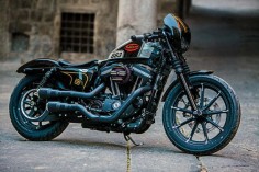 Battle Of The Kings 2016: Sportster Iron 883 by Harley-Davidson Viterbo.