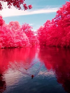 Beautiful Cherry River, West Virginia
