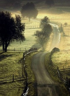 Beautiful Country Road.