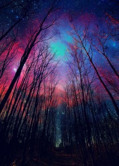 Beautiful pink Starry Night - Bing Images