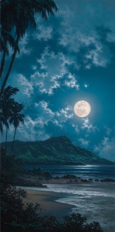Beautiful Waikiki, Hawaii
