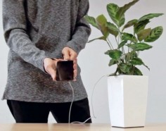 Bioo Lite phone charger generates electricity using only water, soil and any common house plant