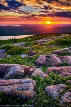 Cadillac Mountain, Acadia National Park, Maine