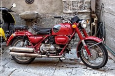 cafe2go:  symopd:  Moto Guzzi 500 Falcone  Great !