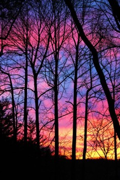 Colors of the Sky ♥