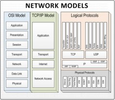 Comparison of TCP/IP Model and OSI Models, TCP/IP vs OSI