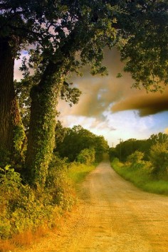 Country Road~ Take me home, to the place I