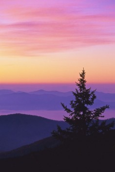 Dawn at clingmans dome. Great Smoky Mountains, North Carolina. Yup, its really that awesome ;)
