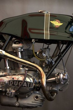 Duc of the Day