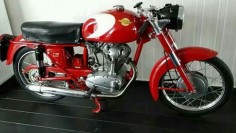 Ducati 175 turismo  1959