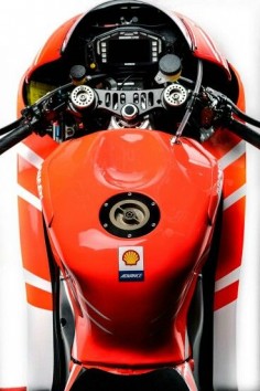 Ducati motogp
