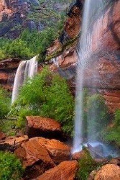 Emerald Pools Trail, two hours or less, family-friendly trail. Tree frogs and waterfalls!