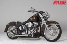 Face Value/ Custom Harley Softail Deluxe