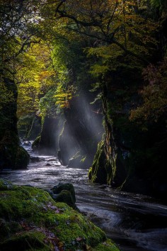 Fairy Glen, Conwy, North Wales photo by tony