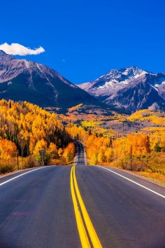 Fall color, Colorado Highway 145 in the San Juan Mountains, near Telluride, Colorado USA.