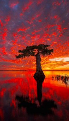 Fiery sunrise over Blue Cypress Lake on the Treasure Coast of Florida • photo: Paul Marcellini on 500px