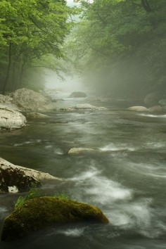 Fog over a river in the Smoky Mountains