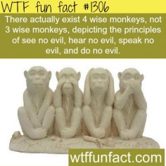 Four NOT Three wise monkeys - facts MORE OF WTF FACTS are coming HERE wise monkeys, movies and fun