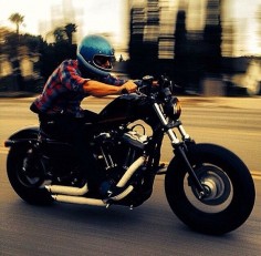 Freedom, rider, bikes, speed, cafe racers, open road, motorbikes, sportster, cycles, standard, sport, standard naked, hogs, #motorcycles