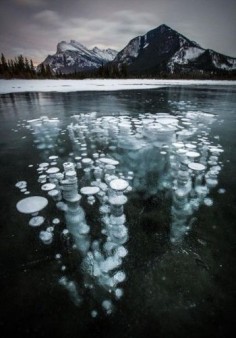 Frozen Bubbles in Vermillion Lakes in Banff National Park, Canada