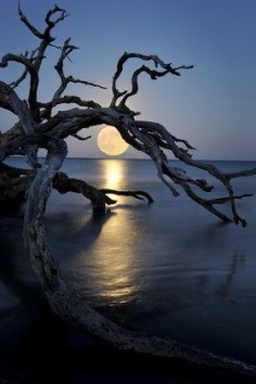 Full Moon on the Lake - Gorgeous !