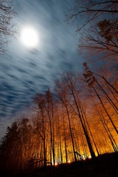 Full moon over illuminated forest, New Castle, Virginia