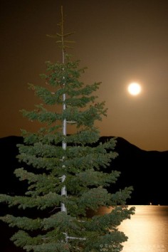 ✮ Full Moon Over Lake Tahoe
