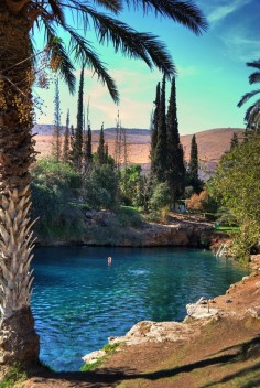 Gan Hashlosa Thermal lake in Northern Israel